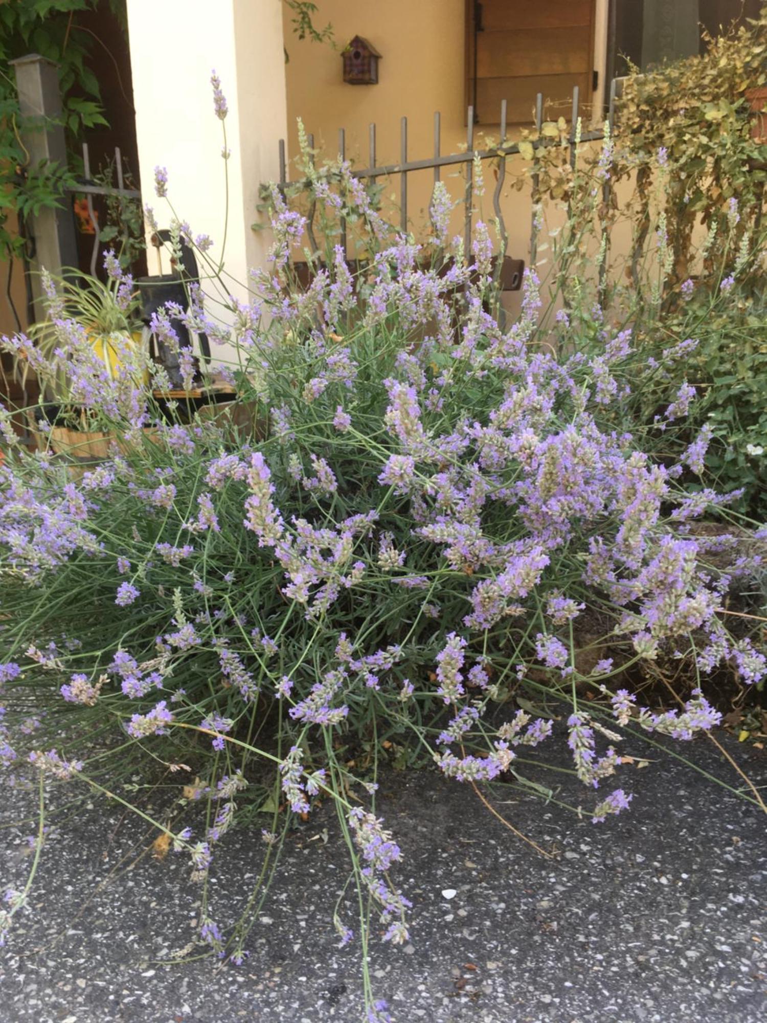 B&B Ca Biocco Sogliano al Rubicone Exteriér fotografie