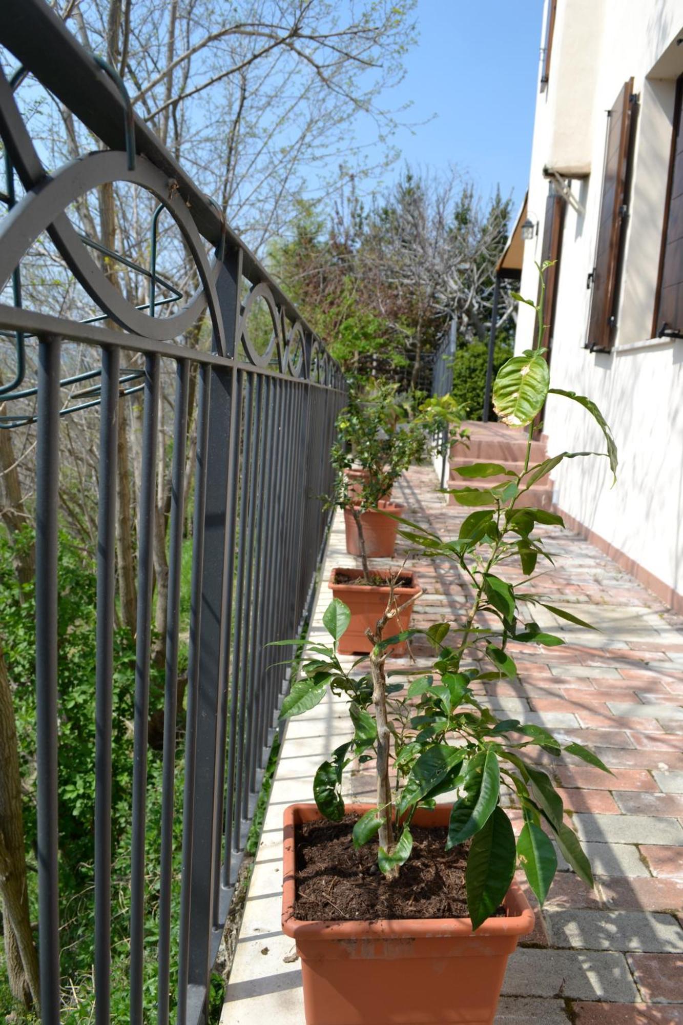 B&B Ca Biocco Sogliano al Rubicone Exteriér fotografie