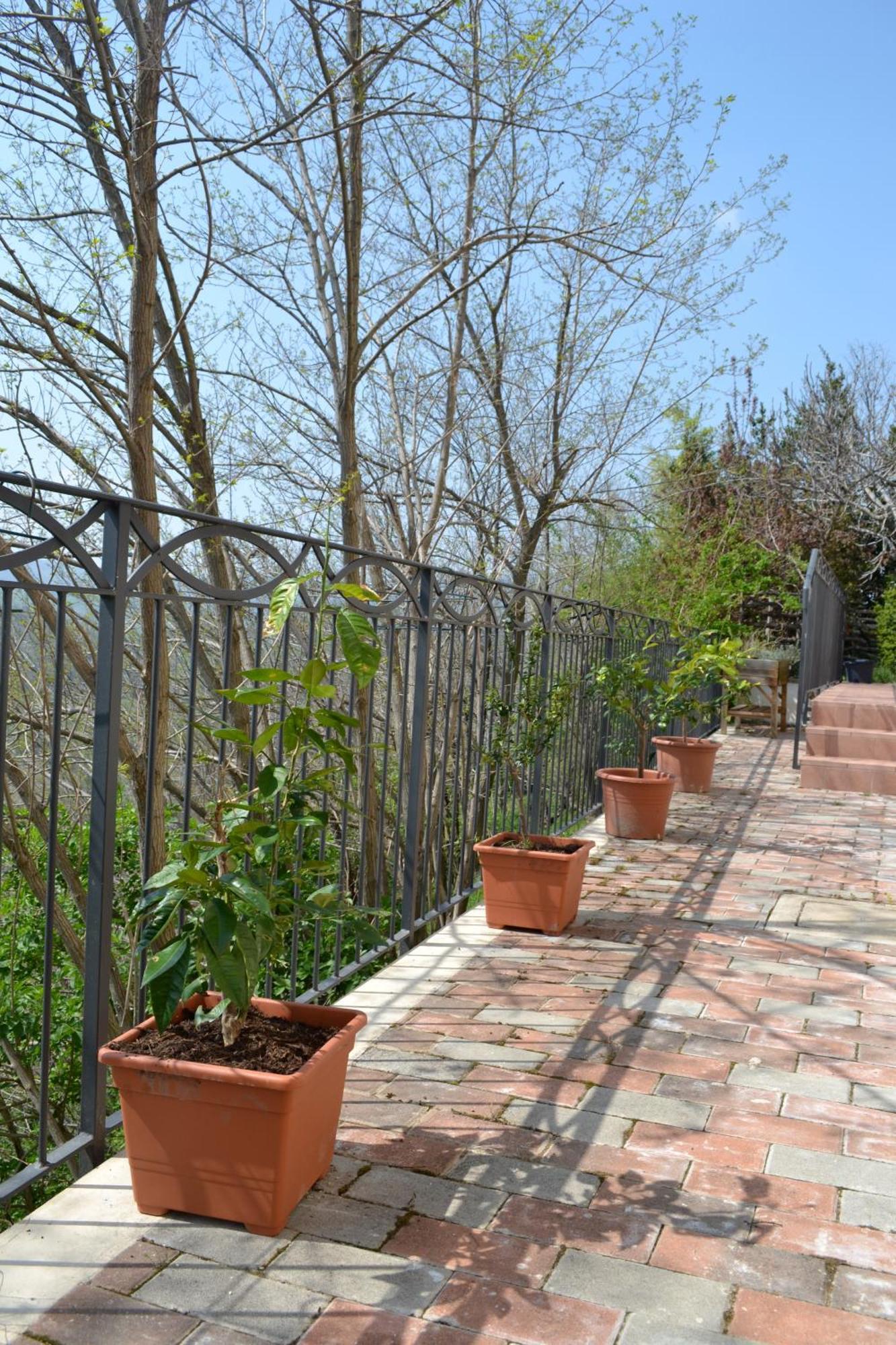 B&B Ca Biocco Sogliano al Rubicone Exteriér fotografie