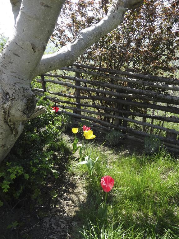 B&B Ca Biocco Sogliano al Rubicone Exteriér fotografie