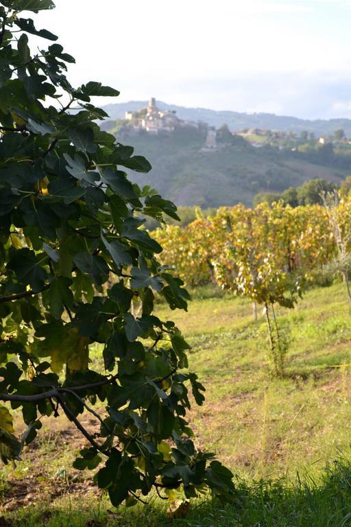 B&B Ca Biocco Sogliano al Rubicone Exteriér fotografie