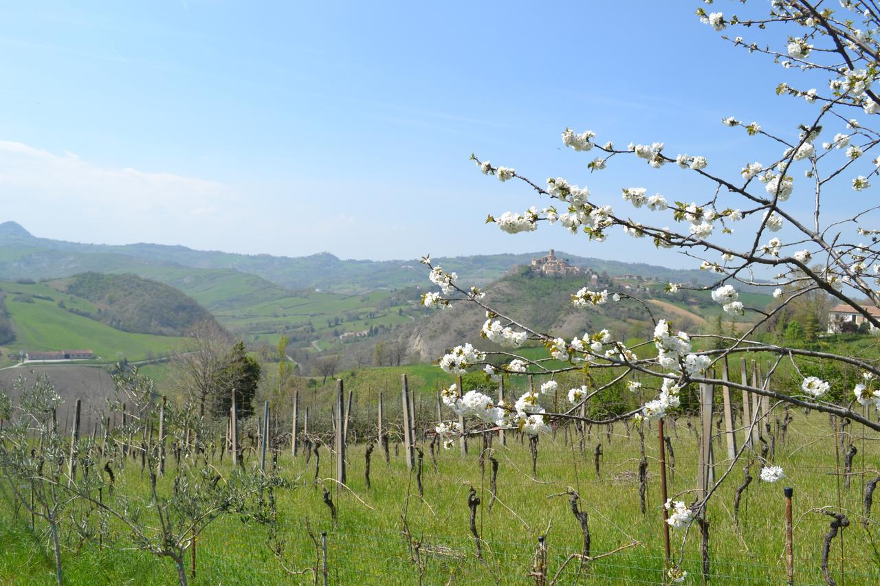 B&B Ca Biocco Sogliano al Rubicone Exteriér fotografie